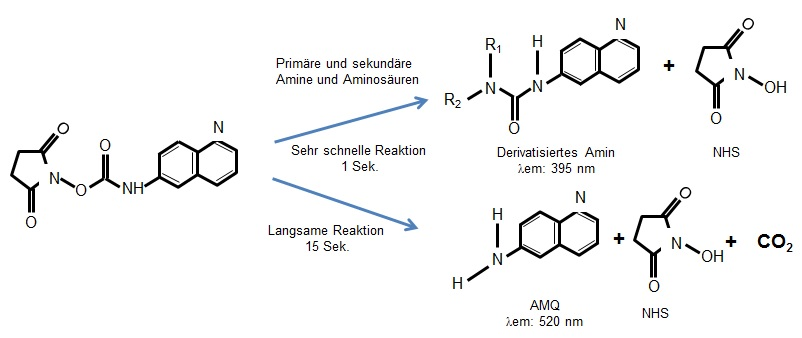 Chemischer Prozess AQC